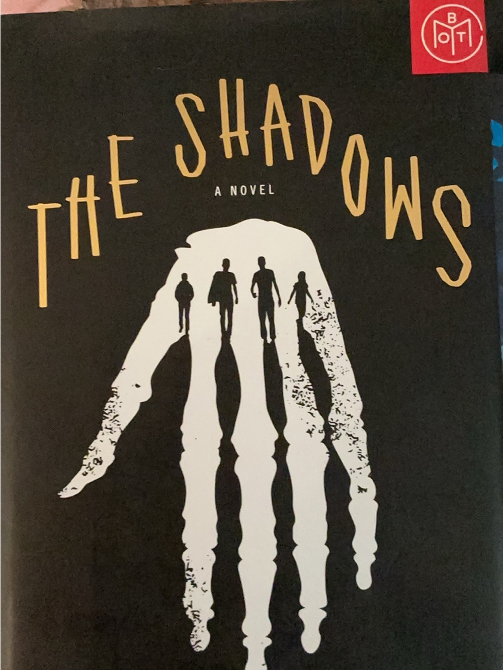 The Shadows A Novel – Black & White Hardcover